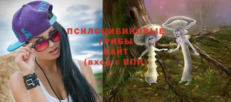 где продают наркотики  Ворсма  Псилоцибиновые грибы Psilocybe 